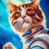 Astronaut Space Cat Diamond Paintings