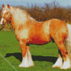 Beige Cob Horse Diamond Paintings