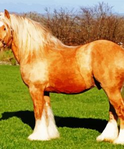 Beige Cob Horse Diamond Paintings