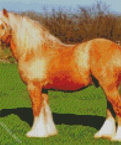 Beige Cob Horse Diamond Paintings