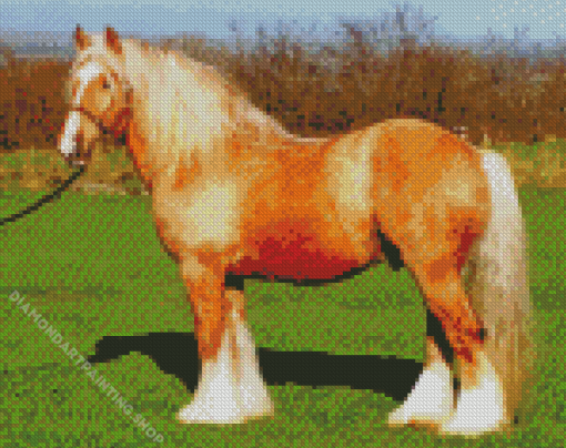 Beige Cob Horse Diamond Paintings