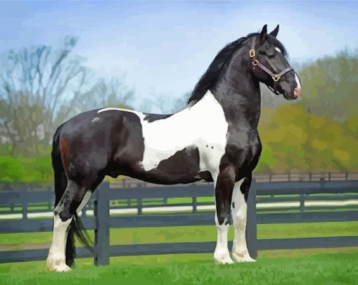 Friesian Horse Diamond Paintings