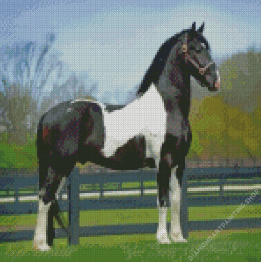 Friesian Horse Diamond Paintings