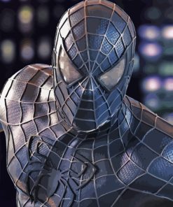 Black Spiderman Diamond Paintings