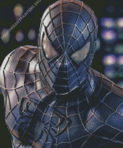 Black Spiderman Diamond Paintings