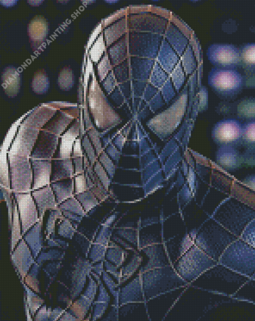 Black Spiderman Diamond Paintings