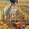 Pointer Hunting Dog Diamond Paintings