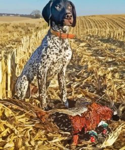 Pointer Hunting Dog Diamond Paintings