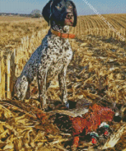 Pointer Hunting Dog Diamond Paintings