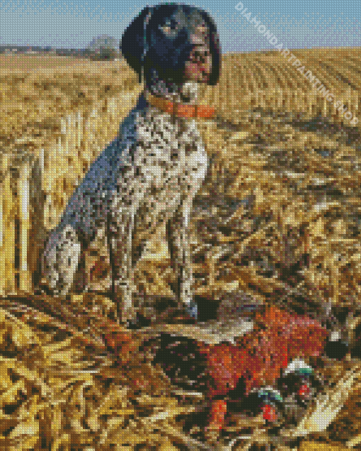 Pointer Hunting Dog Diamond Paintings