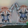 Florida Panther Diamond Paintings