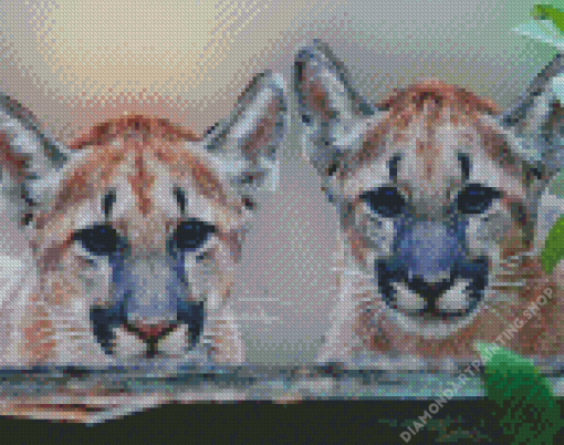 Florida Panther Diamond Paintings