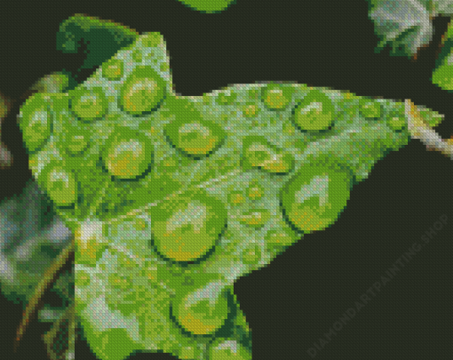 Ivy Leaf With Drops Diamond Paintings