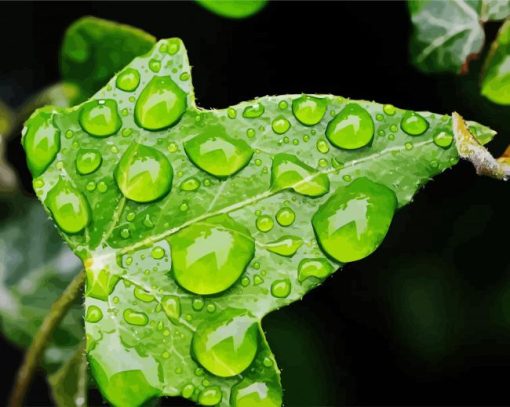 Ivy Leaf With Drops Diamond Paintings