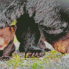 Bear And Cub Diamond Paintings