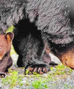 Bear And Cub Diamond Paintings