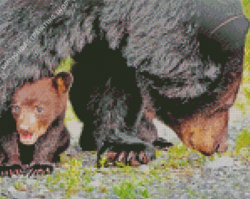 Bear And Cub Diamond Paintings