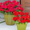 Red Geraniums In Pots Diamond Paintings