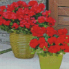 Red Geraniums In Pots Diamond Paintings