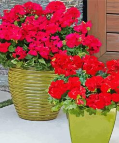 Red Geraniums In Pots Diamond Paintings