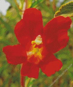 Red Monkey Flower Diamond Paintings