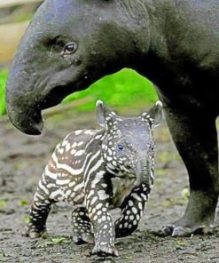 Tapir And Mom Diamond Paintings