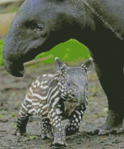 Tapir And Mom Diamond Paintings