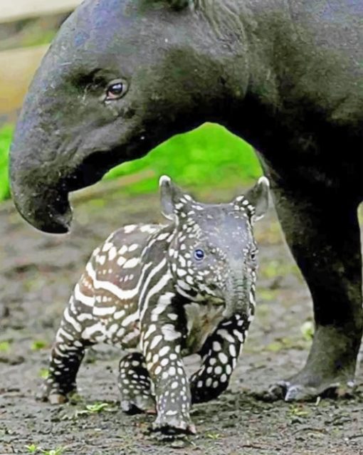 Tapir And Mom Diamond Paintings