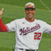 Baseballer Juan Soto Diamond Paintings