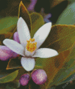 Lemon Blossoms Diamond Paintings