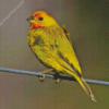 Yellow Finch Diamond Paintings