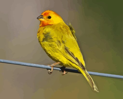 Yellow Finch Diamond Paintings