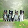 4 Friends Dogs Diamond Paintings