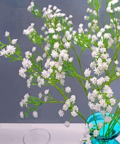 White Babys Breath Diamond Paintings