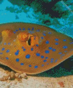 Beautiful Stingray Diamond Paintings