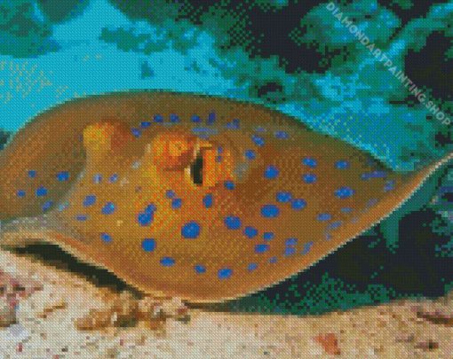 Beautiful Stingray Diamond Paintings