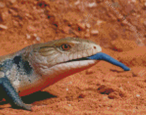 Blue Tongued Lizard Diamond Paintings