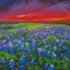 Wildflowers Landscape Diamond Paintings