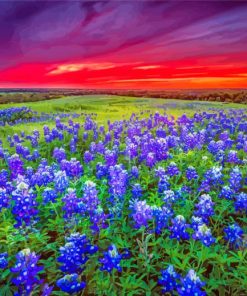 Wildflowers Landscape Diamond Paintings