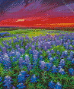 Wildflowers Landscape Diamond Paintings