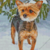 Chorkie In Snow Diamond Paintings