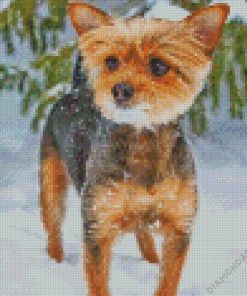 Chorkie In Snow Diamond Paintings