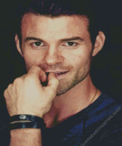 Daniel Gillies Diamond Paintings