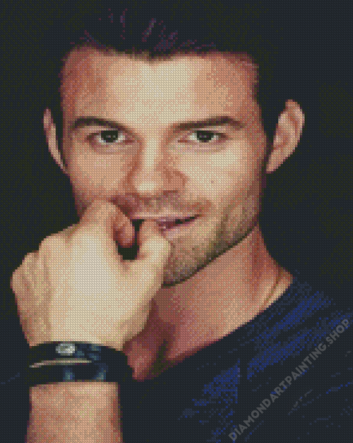 Daniel Gillies Diamond Paintings