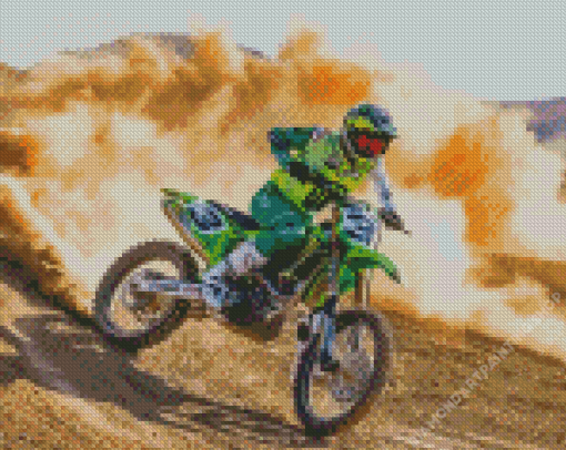 Eli Tomac Racer Diamond Paintings