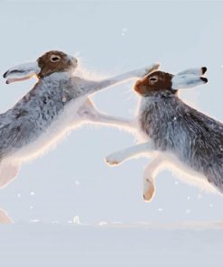 Hares In Snow Diamond Paintings