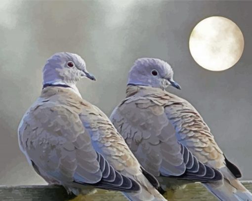 Dove Birds Diamond Paintings