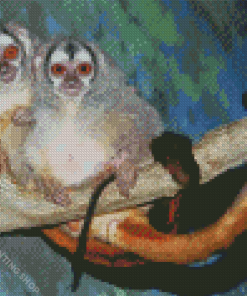 Monkeys On Branch Diamond Paintings