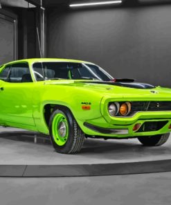 Green Roadrunner Diamond Paintings