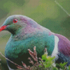 Kereru Head Diamond Paintings